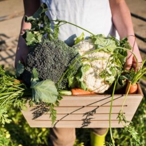 sustainable-food-for-conscious-consumers